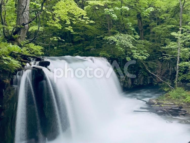 銚子大滝 青森県,十和田市,奥入瀬渓流の写真素材