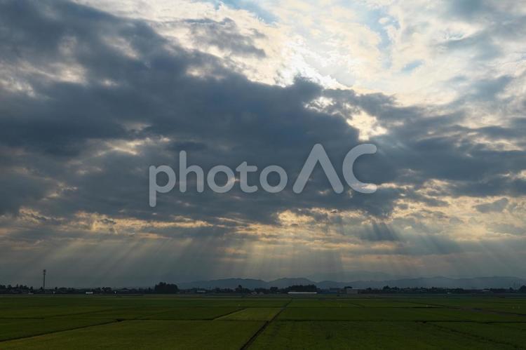 朝の田園と光芒 空,雲,光芒の写真素材