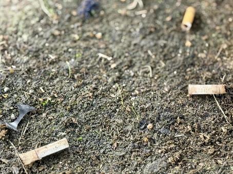 ポイ捨てされたタバコの吸い殻 ポイ捨てされたタバコの吸い殻 タバコ,吸い殻,ポイ捨ての写真素材