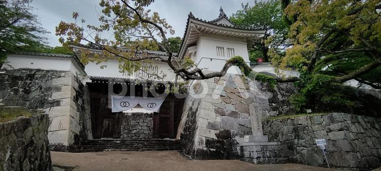 石垣と白壁が美しい歴史ある龍野城跡の城門 城門,石垣,白壁の写真素材