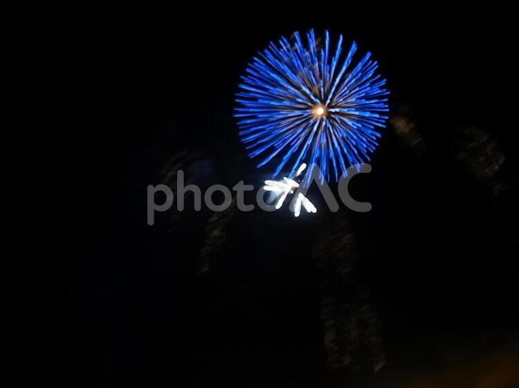 引きで見た打ち上げ花火（青） 打ち上げ花火,打上げ花火,打上花火の写真素材