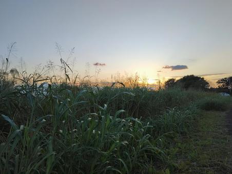 9月の夕景 9月の夕景の写真