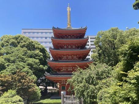 東長寺(横) 東長寺(横)の写真