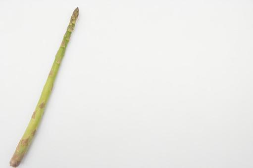 白背景にアスパラガス一本 白背景にアスパラガス一本 アスパラガス,野菜,食材の写真素材