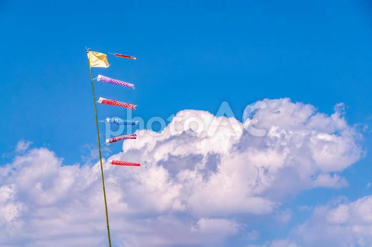 大空を泳ぐ小さな鯉のぼり 3 子どもの日,こどもの日,鯉のぼりの写真素材