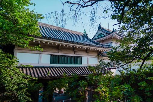 【和歌山】和歌山城 2025 【和歌山】和歌山城 2025の写真