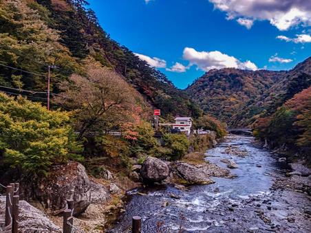 箒川の紅葉と青空と 箒川,紅葉,秋の写真素材