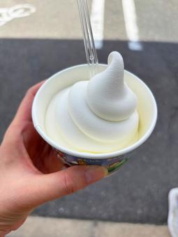 生ソフトクリーム 生ソフトクリームの写真