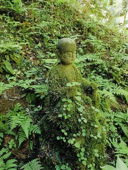 苔 苔 苔,岡寺,地蔵の写真素材