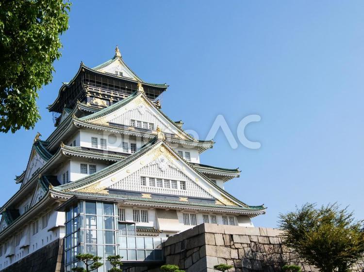 素材　広告　文字入れ　大阪城の存在感 コピースペース,スペース,コピーの写真素材