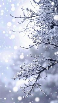 雪のつもる枝がきらめく 冬の風景 雪のつもる枝がきらめく 冬の風景の写真