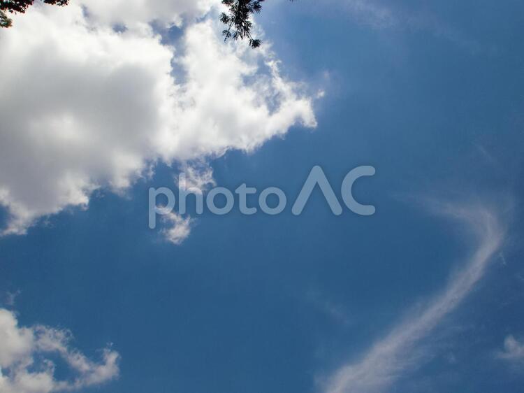 ７月中旬の雲 ７月中旬の空,７月中旬の雲,７月の空の写真素材