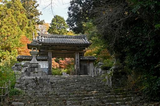 滋賀・近江八幡 桑實寺 山門・参道 滋賀・近江八幡 桑實寺 山門・参道の写真