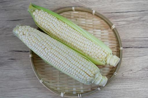 みずみずしく甘い白いとうもろこし みずみずしく甘い白いとうもろこし ホワイトコーン,とうもろこし,コーンの写真素材
