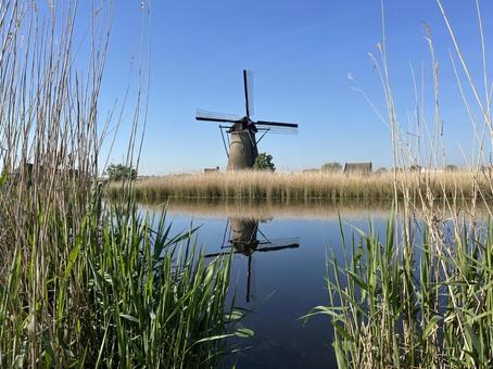 キンデルダイク＝エルスハウトの風車網 キンデルダイク,風車,オランダの写真素材