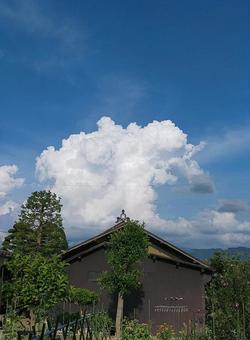 夏の景色 夏の景色の写真