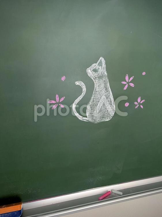 黒板に描かれた白猫 01 猫,白い猫,白猫の写真素材