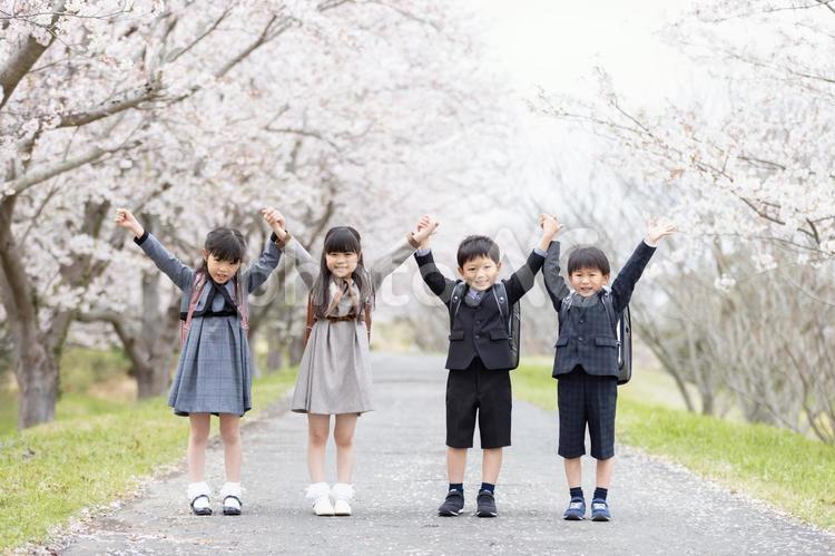 入学式イメージ　バンザイをする新一年生 仲良し,かわいい,入学式の写真素材