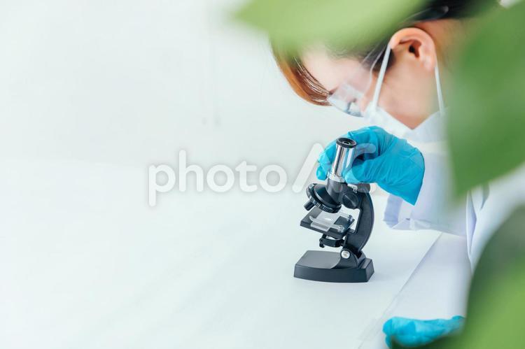 研究・科学者イメージ 顕微鏡,検査,医療技術の写真素材