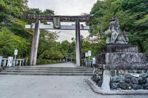 山梨　武田神社　一ノ鳥居 武田神社,武田,神社の写真素材