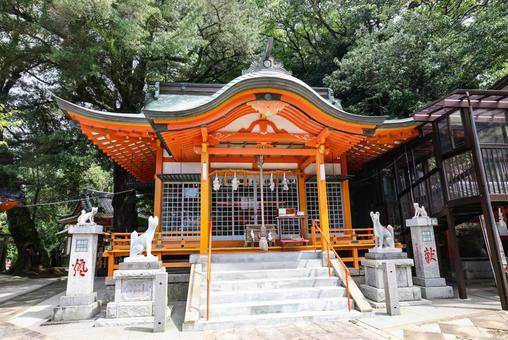 若宮稲荷神社 若宮稲荷神社 若宮稲荷神社,長崎九社,神社の写真素材