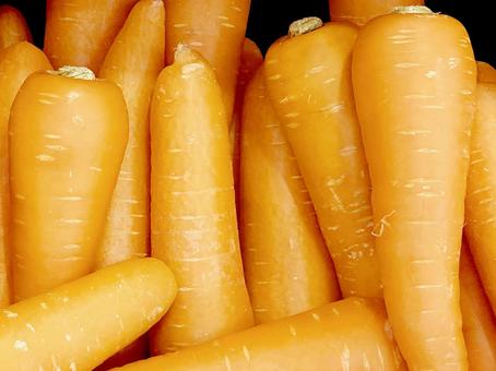 野菜・ニンジン ニンジン,カロテノイド,野菜の写真素材