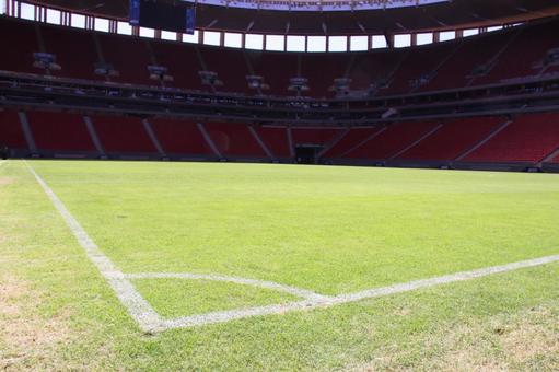 マネ・ガリンシャ・サッカー場のピッチ　 サッカー場,マネ・ガリンシャ,蹴球場の写真素材