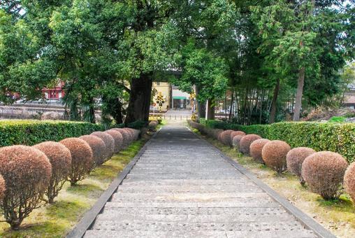 犬山市 瑞泉寺石段（愛知） 犬山市,瑞泉寺,寺院の写真素材
