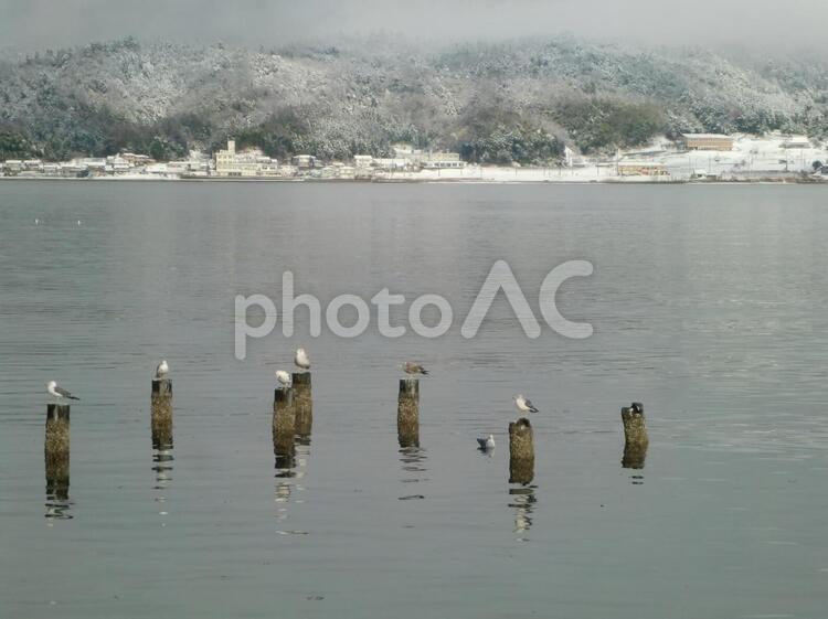 冬の風景 冬,湖,鳥の写真素材
