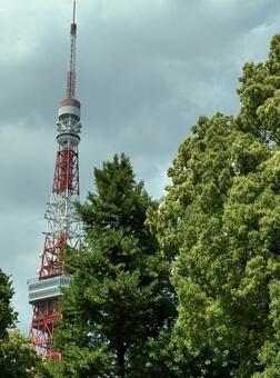 青空と緑に囲まれた東京タワー 東京,日本,東京タワーの写真素材