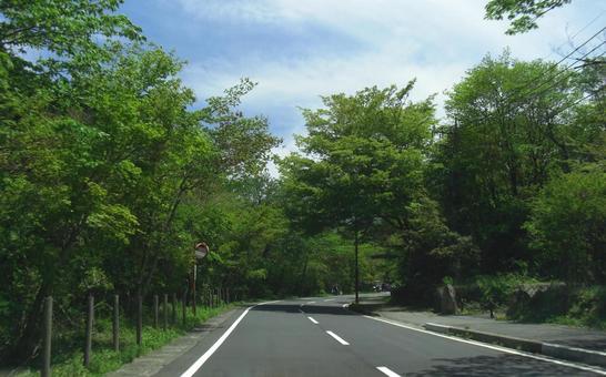 箱根路-6 箱根路-6 箱根路,ドライブ,道路の写真素材