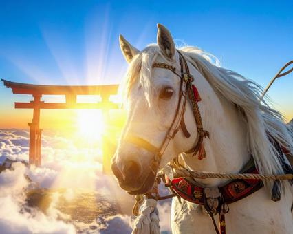 鳥居と写真に写る 鳥居と写真に写るの写真
