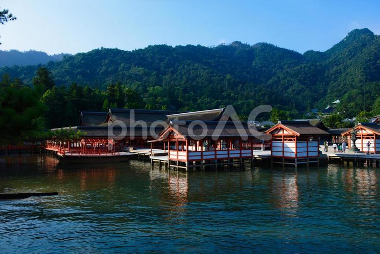 厳島神社の風景 宮島,世界文化遺産,厳島神社の写真素材