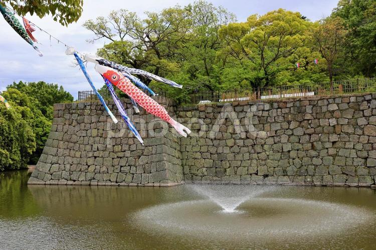 ４月下旬の丸亀市丸亀城の鯉のぼり 背景,鯉のぼり,こいのぼりの写真素材