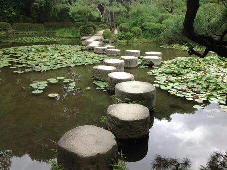 日本庭園 日本庭園の写真