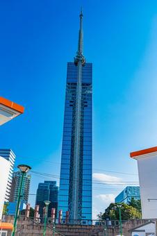 福岡　福岡タワー 福岡県,福岡市,福岡タワーの写真素材