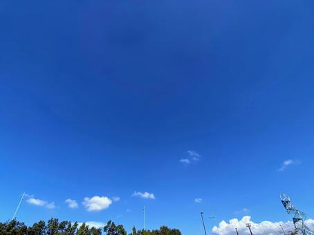 青空_雲_木 青空_雲_木の写真