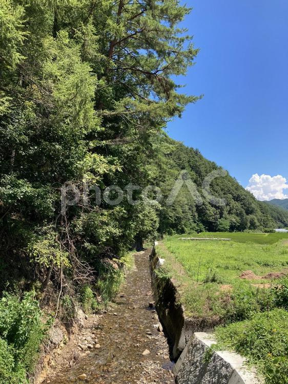 長野県辰野町　飯沼川 飯沼川,長野県,信州の写真素材