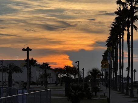 夕焼けを見に 夕焼けを見に 夕暮れ,夕焼け,泉南ロングパークの写真素材