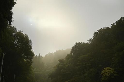 朝靄の太陽の写真