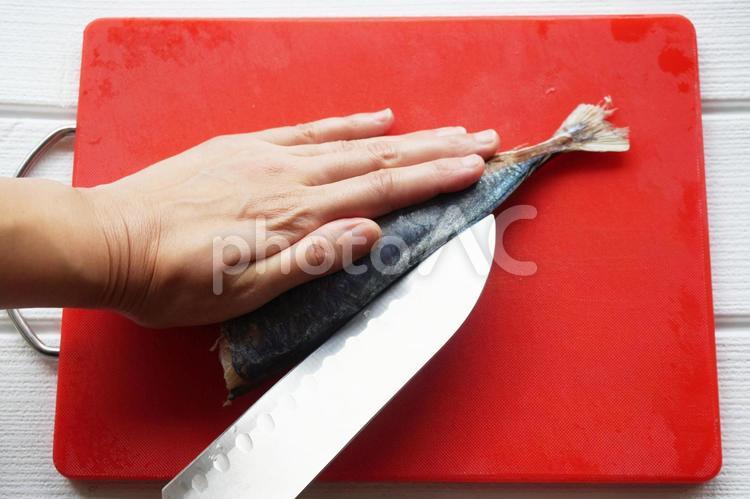 鯵の3枚おろし アジ,鯵,青魚の写真素材