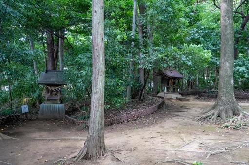 埼玉 氷川女体神社 摂末社 埼玉 氷川女体神社 摂末社 氷川女体神社,氷川女體神社,氷川の写真素材