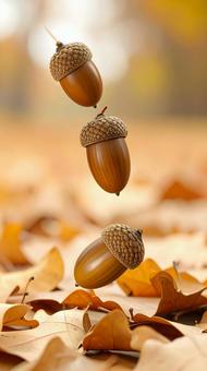 秋イメージ　どんぐり　ころころ　落ち葉の写真
