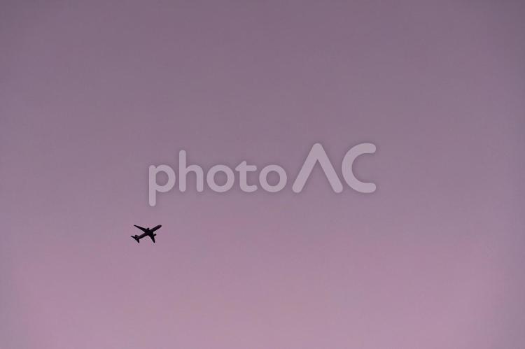 夕暮れ内をフライトする飛行機 飛行機,空,航空機の写真素材