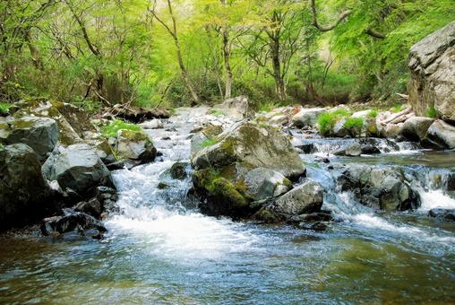 川と岩 川と岩の写真