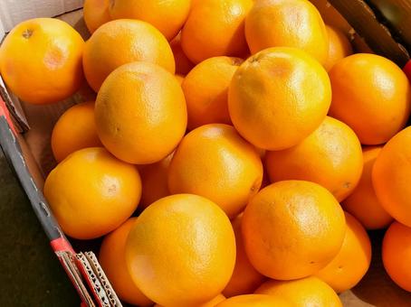 箱詰めされたたくさんのオレンジ 箱詰めされたたくさんのオレンジ オレンジ,フルーツ,箱詰めの写真素材