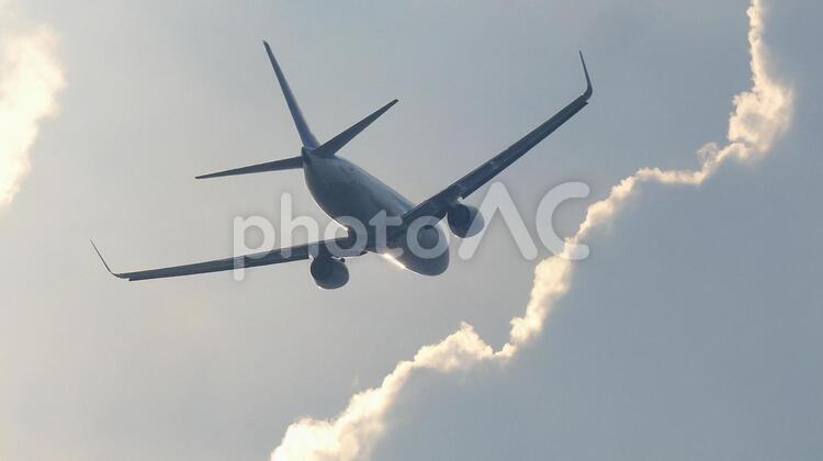 夕方に飛び去ってゆく飛行機01 飛行機,旅客機,離陸の写真素材