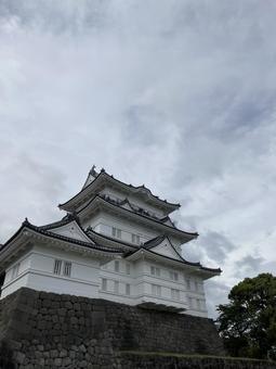 小田原城 小田原城 風景,小田原城,城の写真素材