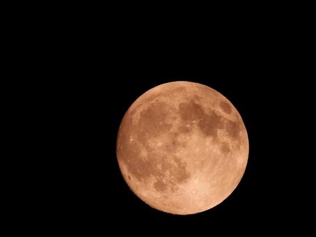 家の庭から撮った中秋の名月 家の庭から撮った中秋の名月の写真