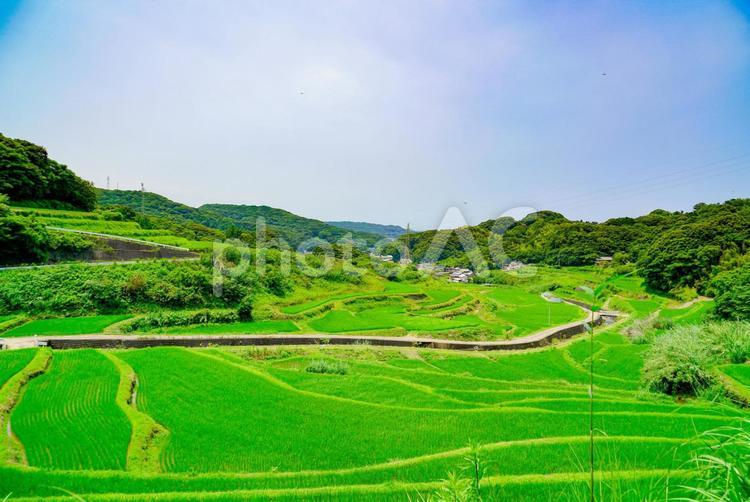 青空と棚田 夏,風景,棚田の写真素材